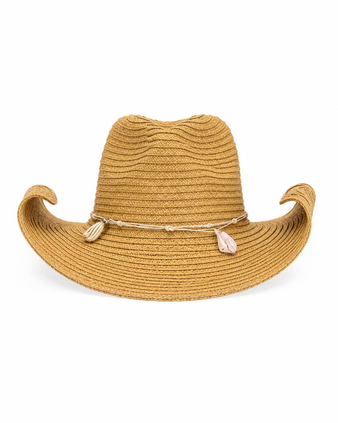 Sombrero Seashell