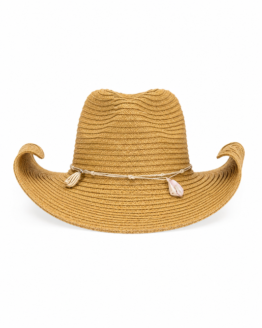 Sombrero Seashell
